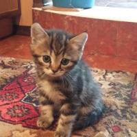 Катерина