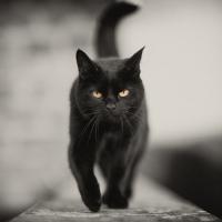 Кристина