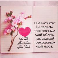 Salimaa😽