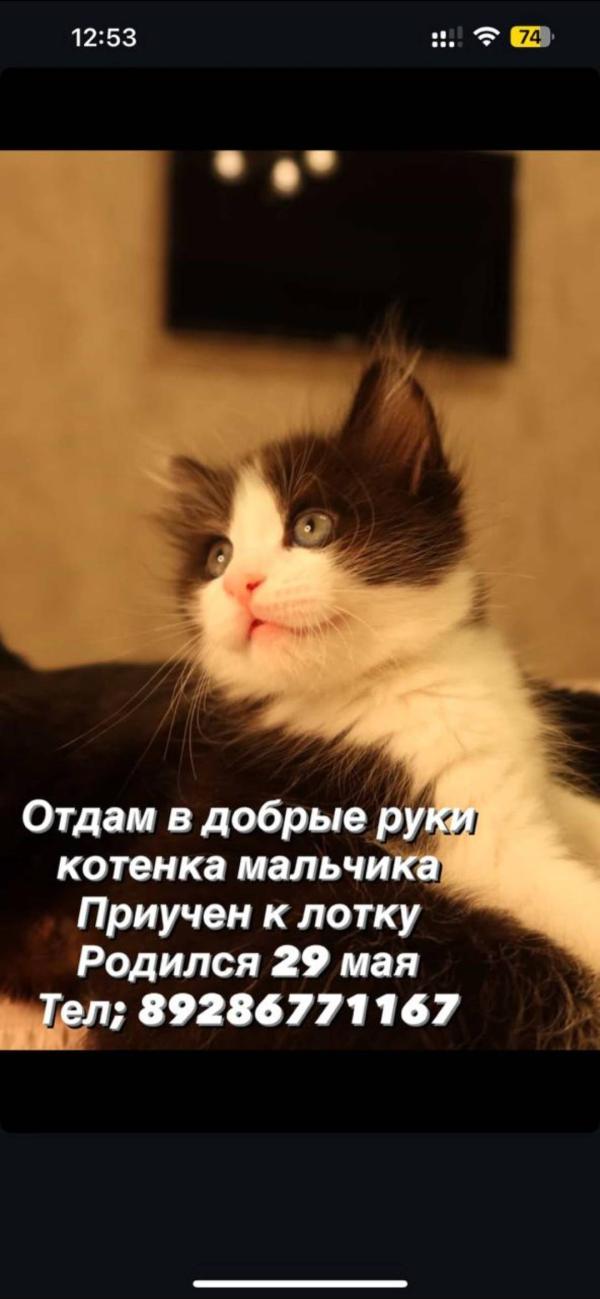 post image 4