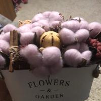 Пищулина Алина