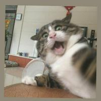 С