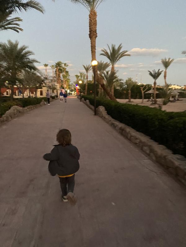 post image 5