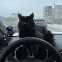 Асия 