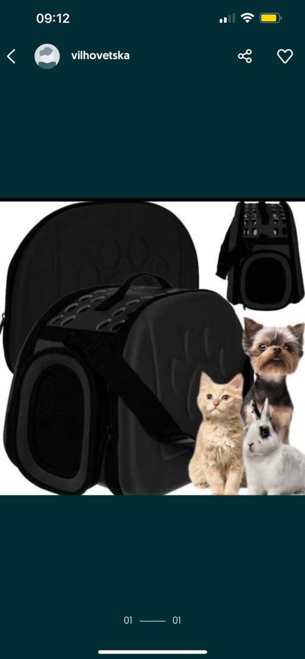 post image 5