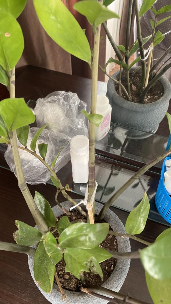 post image 4