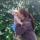 lena.egrashkina