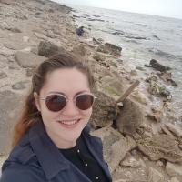 Василек
