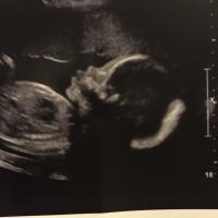 new mama Chicago