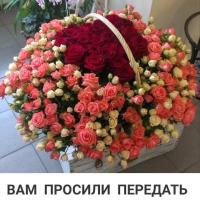 Синабонка