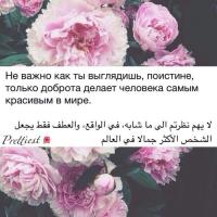 М@dinka