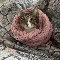 Татьяна