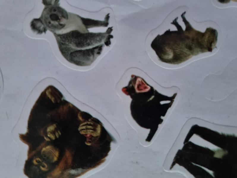 post image 3