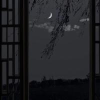 RaziyaLogoPsychology