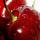 cerise