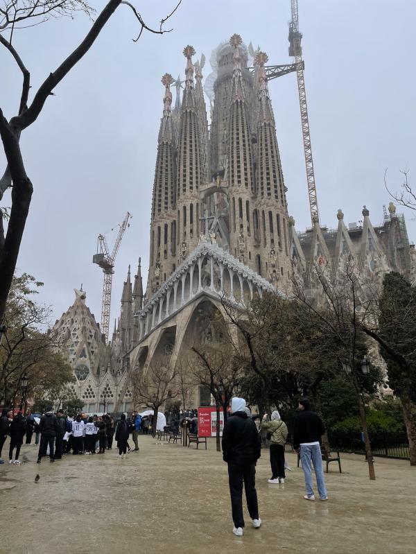 post image 5