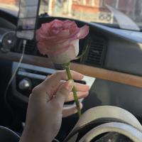 Сидрат Батырмурзаева