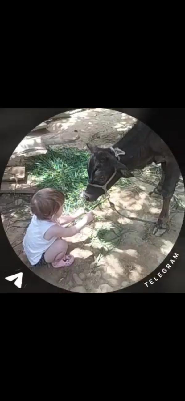 post image 4