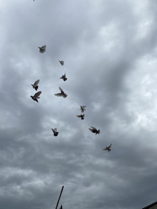 post image 5