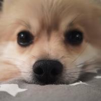 Кристина Лопухова