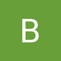 Ви
