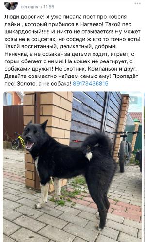 post image