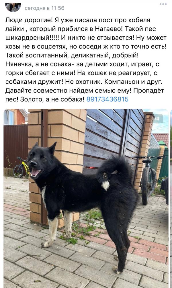 post image