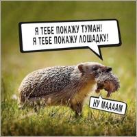 Мила