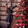 ph_tumasheva