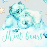 Mint_bears.shop.minsk