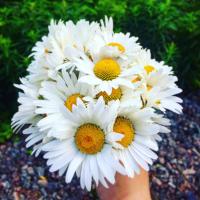 Александра 