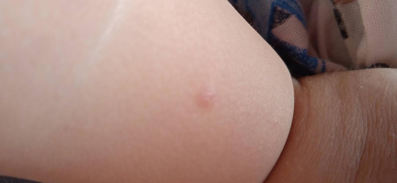 post image 4