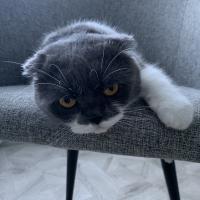 Юлия