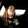 amanda.smith1994