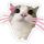 miranda.meow