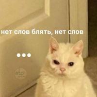 Просто Лу💛