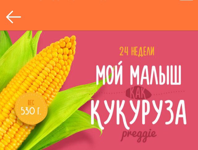 Песня большая кукурузина текст. Советские плакаты про кукурузу. Смешная кукуруза. Песня большая кукурузина текст. Песня большая кукурузина текст.