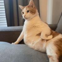 mamochka🧘🏻‍♀️