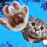 Ольга