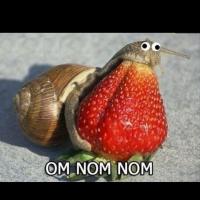 om_nom_nom
