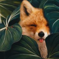 Лиса 🦊