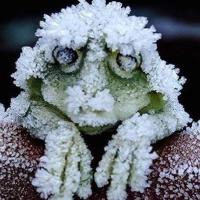 Валерия