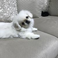 Алина