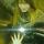 mad_inessa_