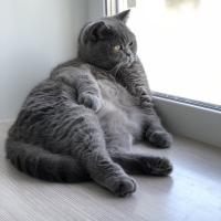 Анастасия