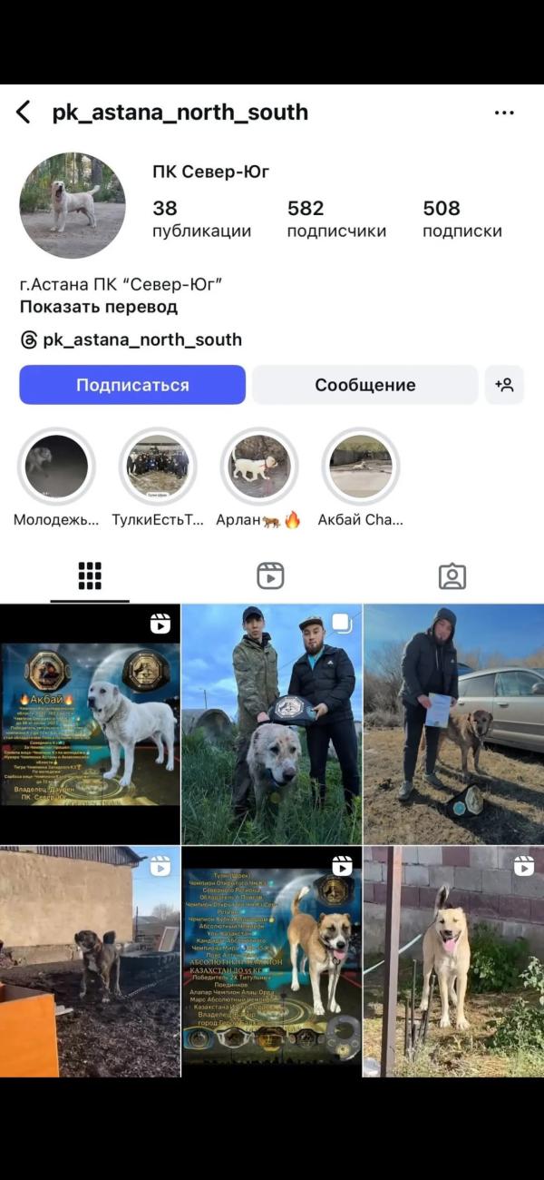 post image 4