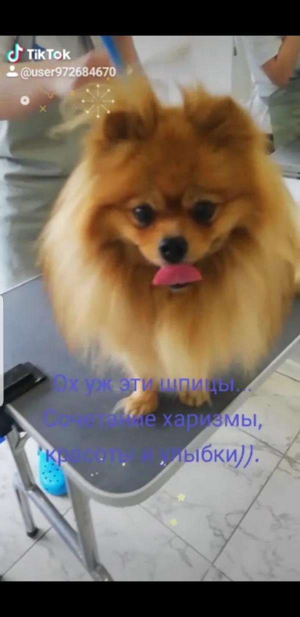 post image 4