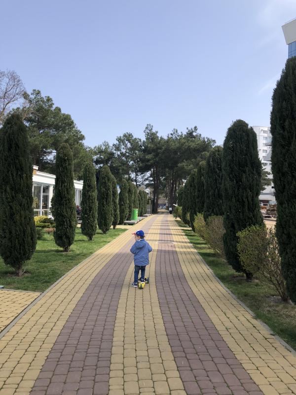 post image 5