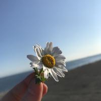 Fatimylove