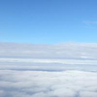 Оля Сергеева